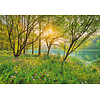 Komar Home; Komar Colours Fotobehang Spring Lake - 8-524 Komar Home; Komar Colours Fotobehang Spring Lake - 8-524