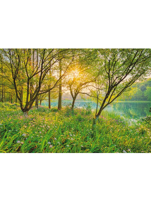 Komar Home; Komar Colours Fotobehang Spring Lake - 8-524