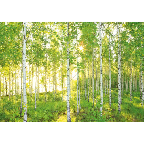 2,54m x 3,68m 2,54m x 3,68m