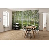 Komar Home; Komar Colours Fotobehang Sunny Day - 8-744