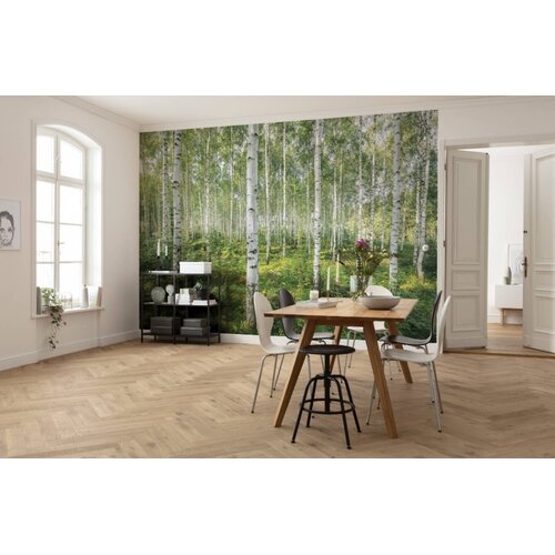 2,54m x 3,68m