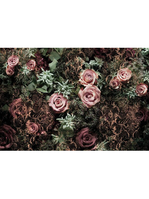 Komar Home; Komar Colours Fotobehang Velvet - 8-980