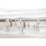 Bestel een staaltje Bestel een staaltje