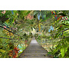 Komar Home; Komar Colours Fotobehang Wild Bridge - 8-977 Komar Home; Komar Colours Fotobehang Wild Bridge - 8-977