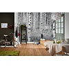 Komar Home; Komar Colours Fotobehang Woods - XXL4-023 Komar Home; Komar Colours Fotobehang Woods - XXL4-023