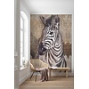 Komar Home; Komar Colours Fotobehang Zebra - X4-1010 Komar Home; Komar Colours Fotobehang Zebra - X4-1010
