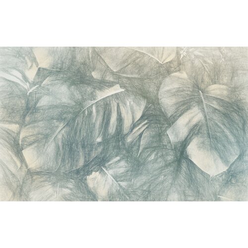 2m x 4m