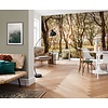 Komar Infinity 2 Fotobehang Bold Birch - IFSH4-074 Komar Infinity 2 Fotobehang Bold Birch - IFSH4-074