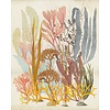 Komar Infinity 2 Fotobehang Catchy Corals - IF2-028