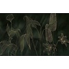 Komar Infinity 2 Fotobehang Darkest Green - IF4-089