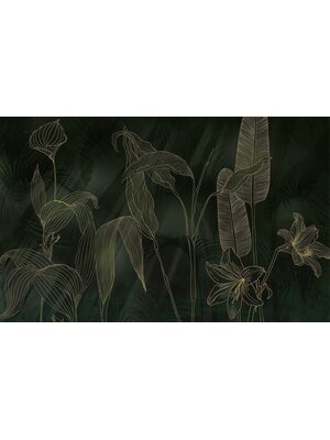 Komar Infinity 2 Fotobehang Darkest Green - IF4-089