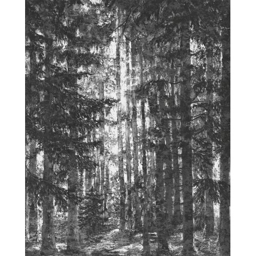 2,5m x 2m