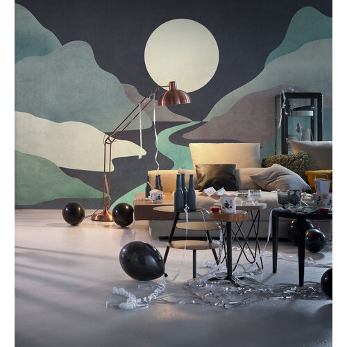 2m x 4m