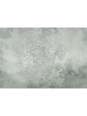 Komar Infinity 2 Fotobehang Obfuscated Ornament - IF4-085