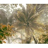 Komar Infinity 2 Fotobehang Palms Panorama - IFSH3-038 Komar Infinity 2 Fotobehang Palms Panorama - IFSH3-038