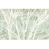 Komar Infinity 2 Fotobehang Peaceful Place - IF4-060