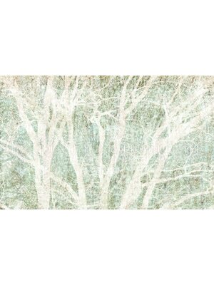 Komar Infinity 2 Fotobehang Peaceful Place - IF4-060