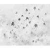 Komar Infinity 2 Fotobehang Salty Sea - IF3-033