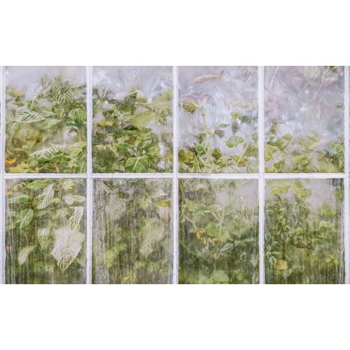 2,5m x 4m 2,5m x 4m