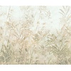 Komar Infinity 2 Fotobehang Zen Zone - IF3-045