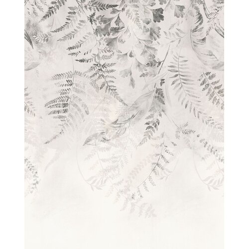 2,5m x 4m
