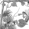 Noordwand Komar Ink Fotobehang Croissances Monochrome - INX8-082