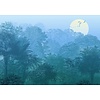 Noordwand Komar Ink Fotobehang Deep in the Jungle - INX8-052
