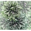 Noordwand Komar Ink Fotobehang Emerald Flowers - INX6-036