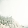 Noordwand Komar Ink Fotobehang Journey - INX6-056