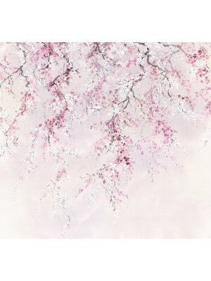 Noordwand Komar Ink Fotobehang Kirschblüten - INX6-013 Noordwand Komar Ink Fotobehang Kirschblüten - INX6-013