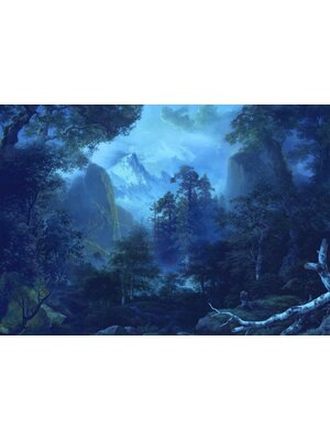 Noordwand Komar Ink Fotobehang Midnight - INX8-014 Noordwand Komar Ink Fotobehang Midnight - INX8-014