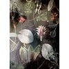 Noordwand Komar Ink Fotobehang Night Flowers - INX4-044