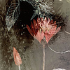 Noordwand Komar Ink Fotobehang Night Flowers - INX4-044