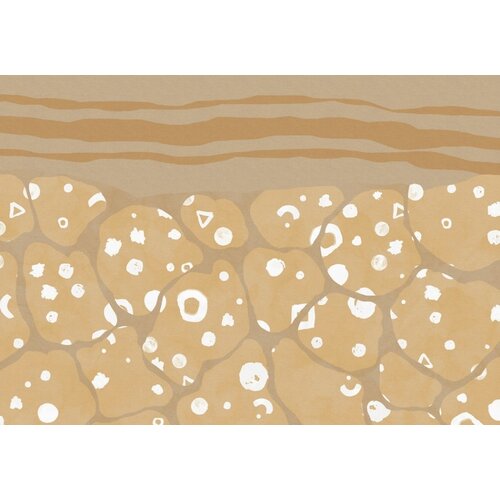 2,8m x 4m