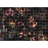 Noordwand Komar Ink Fotobehang Tiles Flowers - INX8-080