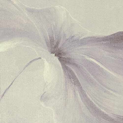 2,8m x 3,5m