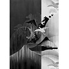 Noordwand Komar Ink Fotobehang Yin Yang - INX4-018 Noordwand Komar Ink Fotobehang Yin Yang - INX4-018