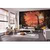 Komar Into Adventure Fotobehang Brachiosaurus Panorama - IAX10-0021