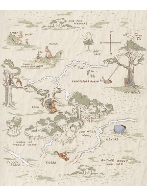 Komar Into Adventure Fotobehang Disney - Winnie the Pooh - Map - IADX4-042