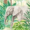 Komar Into Adventure Fotobehang Jungle Adventure - IAX7-0010