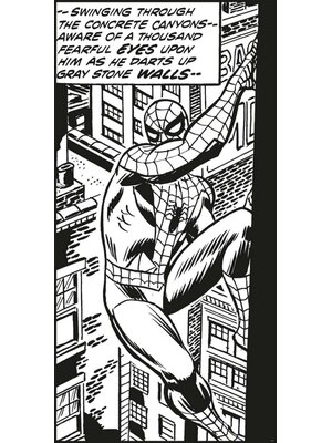 Komar Into Adventure Fotobehang Marvel - Spiderman - Classic Climb - IADX2-085