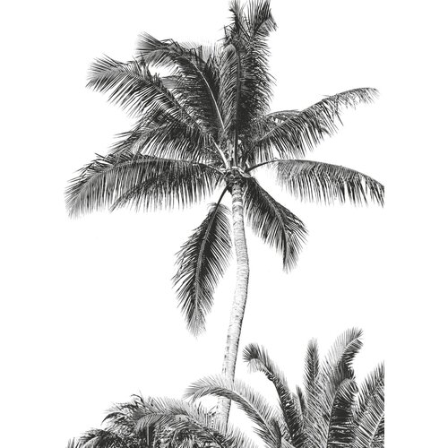 2,8m x 2m