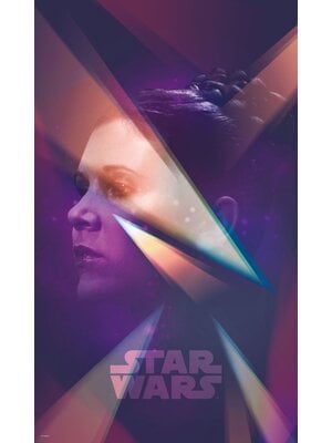 Komar Into Adventure Fotobehang Star Wars - Female Leia - vd-025 Komar Into Adventure Fotobehang Star Wars - Female Leia - vd-025