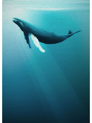 Komar Into Adventure Fotobehang Whale - IAX4-0045 Komar Into Adventure Fotobehang Whale - IAX4-0045