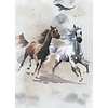 Komar Into Adventure Fotobehang Wild Ride - IAX4-0030