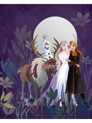 Komar Into Wonderland Fotobehang - Disney Frozen Full Moon Hike - IADX4-092 Komar Into Wonderland Fotobehang - Disney Frozen Full Moon Hike - IADX4-092