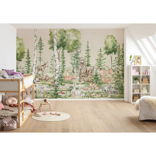 2,5m x 4m