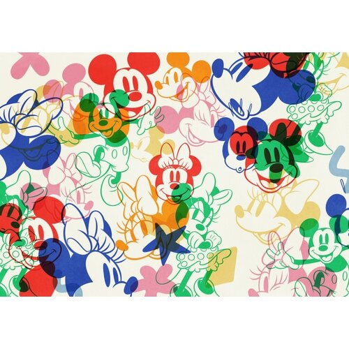2,5m x 4m 2,5m x 4m