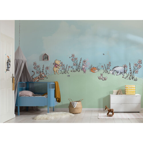 2,5m x 4m 2,5m x 4m