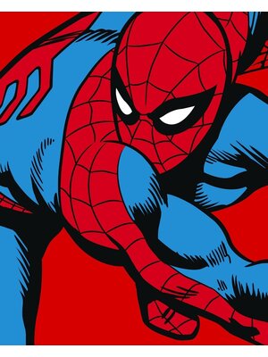 Komar Into Wonderland Fotobehang Marvel PowerUp Spider-Man Watchout - DX4-155 Komar Into Wonderland Fotobehang Marvel PowerUp Spider-Man Watchout - DX4-155